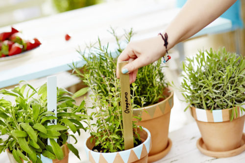 Krukor med karaktär